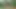 My naked walk in the woods ended with a creamy cumshot