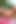 Twistys - Vina Sky karpuzunu yalıyor ve ıslanıyor ve yapış yapış oluyor