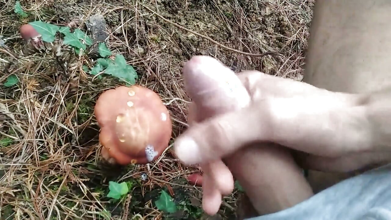 Hiker Takes Out His Dick Looking for Mushroomsand Unloads Semen in One of Them