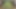 Onlyfans Twerkers -Mimivimii