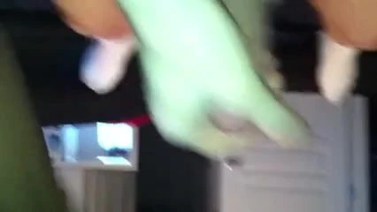 Cavalgar branco em primeiro plano