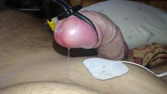 Estim 2b electro dick contractions, precum & orgasmo