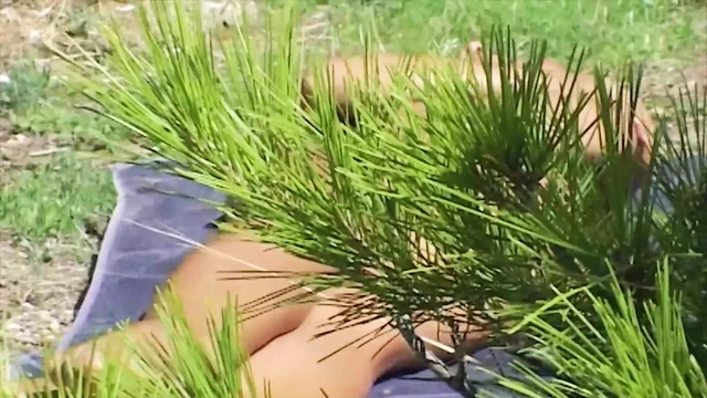 Dark haired German girl with an amazing body fucking outdoors