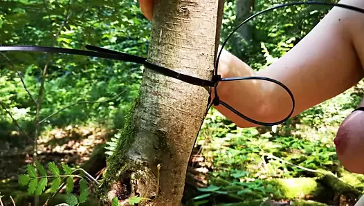 Tie her tits to the tree and whip them hard