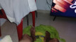 Pregled videozapisa
