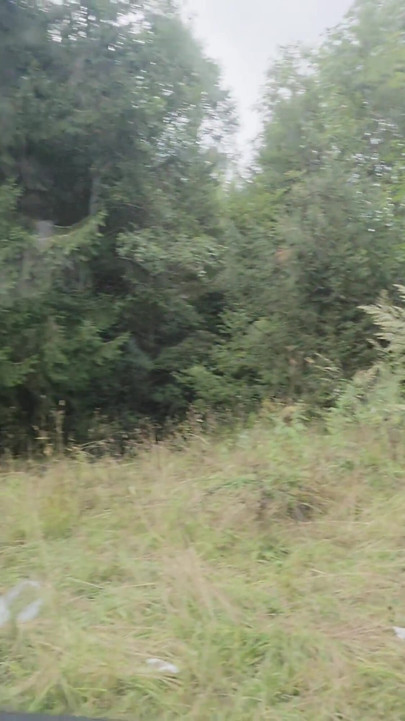 We Were Too Horny and Couldn't Wait to Get Home, so We Fucked in the Car