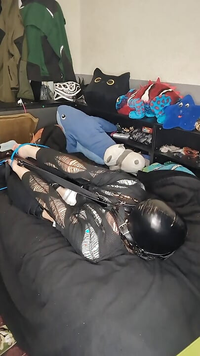 Пробуючи голову Harnes Hogtie