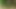 Very Black Man From Uganda Fuck Teen Big Boobs Girl Friend in Their Farmland