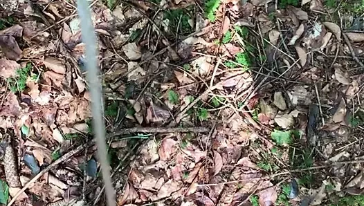 Im Wald pissen