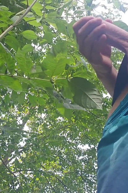 Risky Outdoor Jerk off - Almost Caught & Huge Cumshot in the Woods
