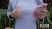 Pratinjau video