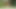 A  nude walk and wank in the garden