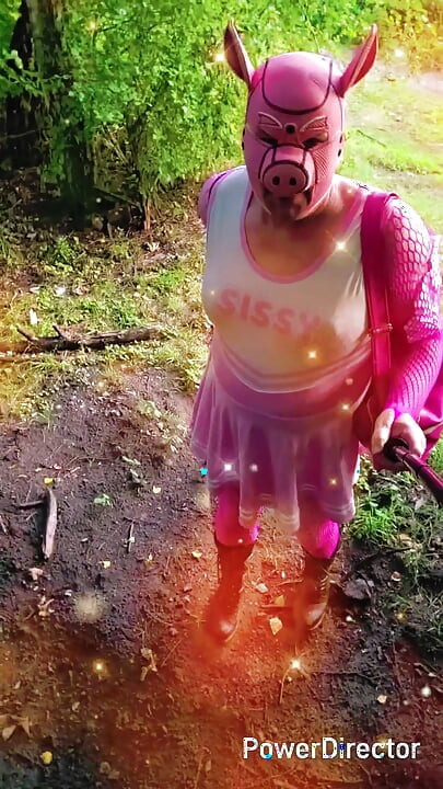 Debela sissy svinja