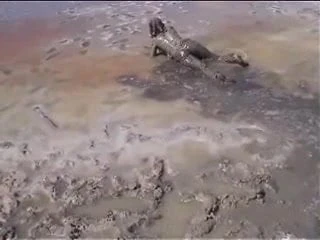 Marjorie ist getting wet and muddy in the ocean - outdoor