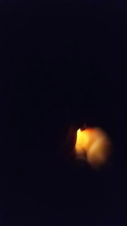 Night dildo walk