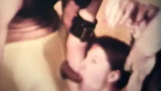 Das Schwein Lutscht Schwanz