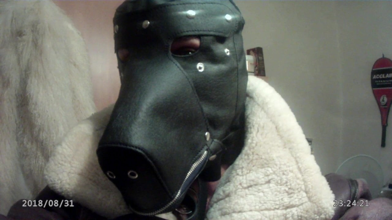 fur fetish