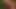 Caylian Curtis and Charlie have fun with another babe
