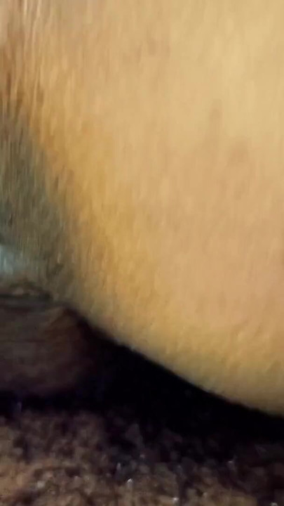 Captivating moment from "Desi Indian Girlfriend new boyfriend Frist time pussy cowgirl style sex big dick"