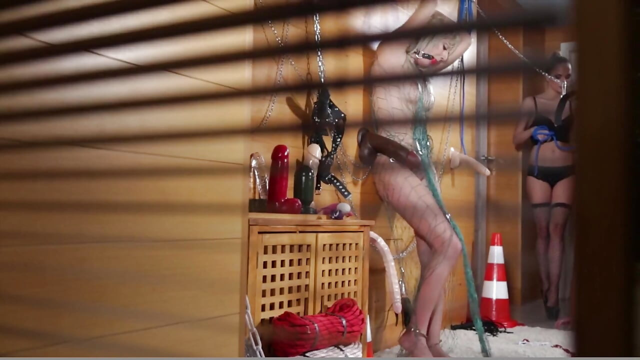 chamber_ of_ submission