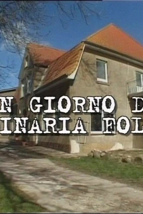 Sıradan bir delilik günü