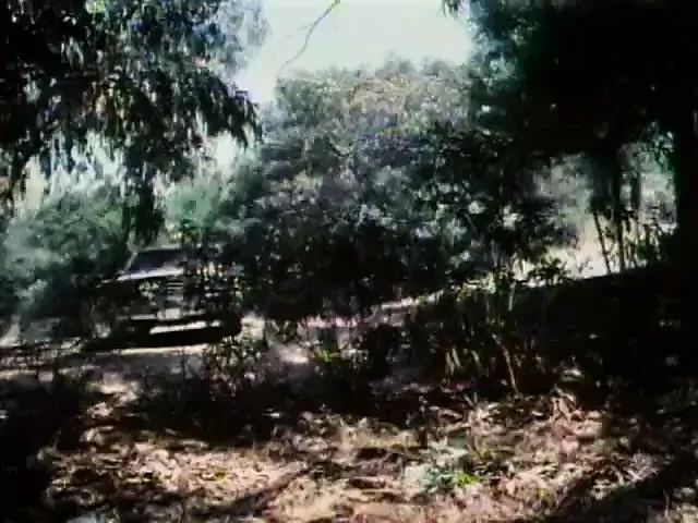 夏令营女孩（1983）