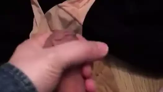 Döl külotu