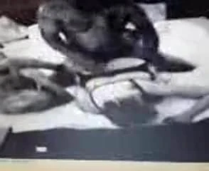 20170827 005615.3gp