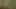 Thai guy fuck banana tree 2