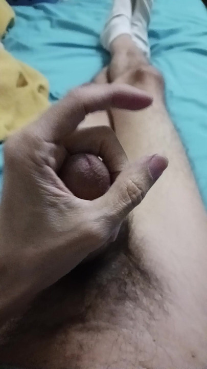 dancing cock