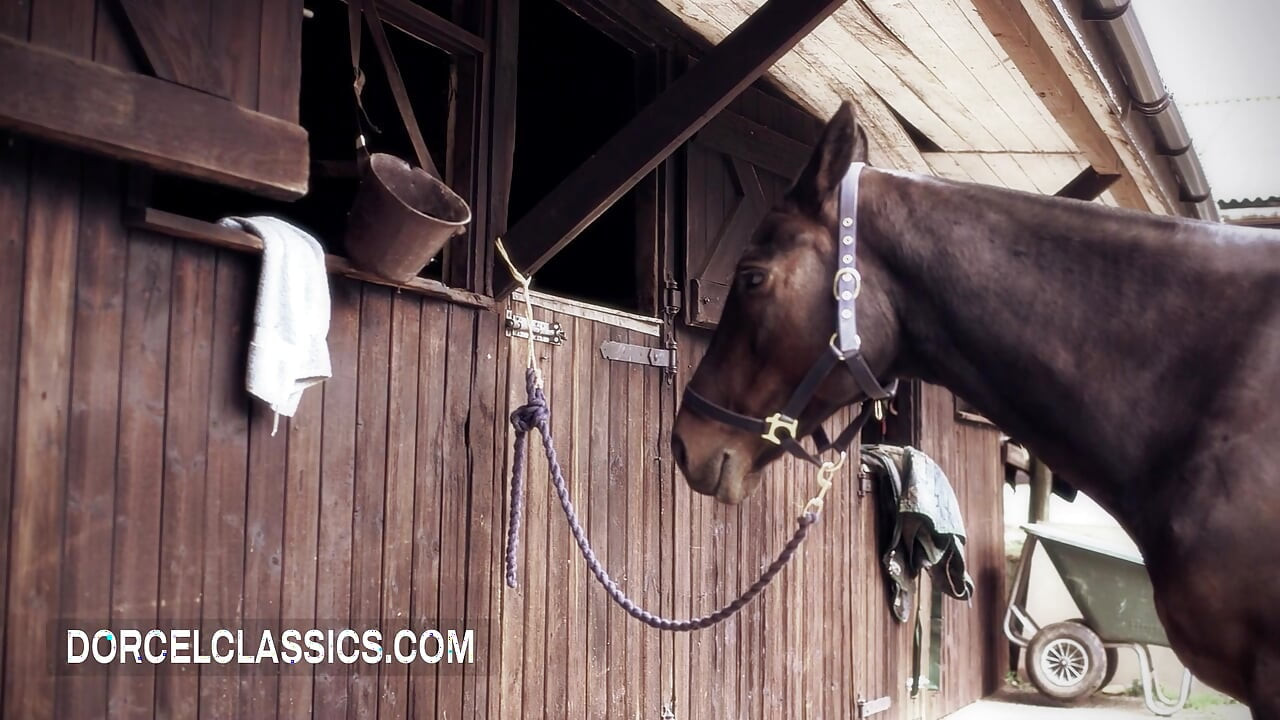 Steamy sex at the riding club