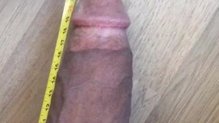 bear measuring his giant dick