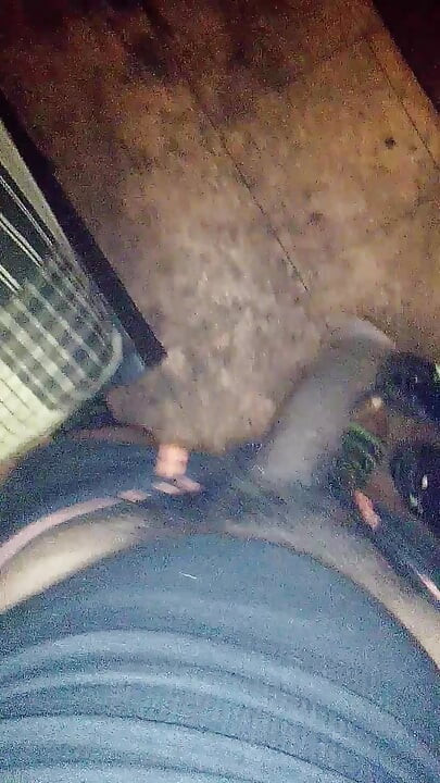 超大黑