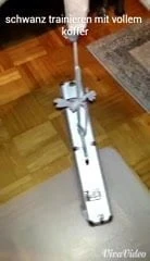Schwanz mit Koffer trainieren!
