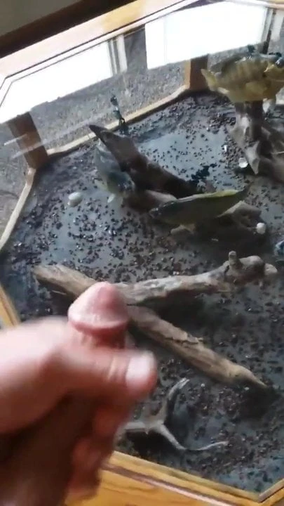 Big gay cock being wanked massive cumshot over a mirror