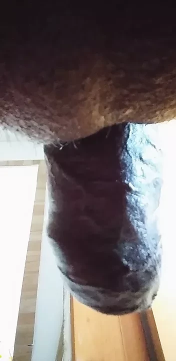 Páni, tento čůrák je velmi velký