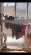 Previzualizare clip video