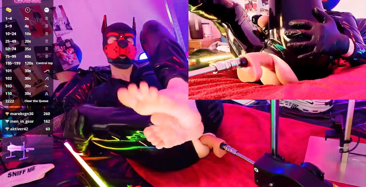 Nicolaus Rubber Show with Pet Mask