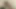 Sativa gül olduğunu bir seksi anlayışlı horoz enayi