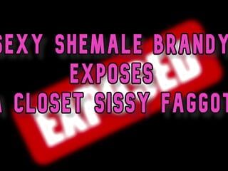 Sexy Shemale Brandy vystavuje skříň Sissy Fag Online