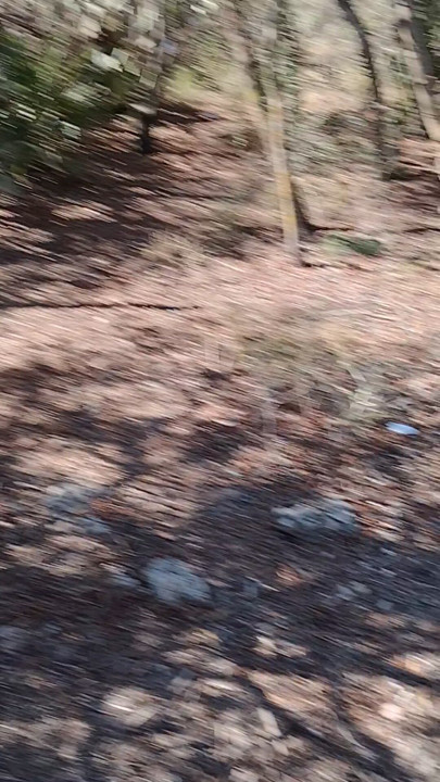 Hidden Gem