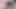 Wife gives double blowjob with cum in mouth. Threesome. MFM. Cuckold. Part 1. Ep 1002
