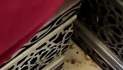 Aku lagi asik mainin memek istri arab saudiku sebelum aku ngentot memeknya habis-habisan