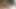 My Step Sister Got Naked at Night and Climbed on My Big Cock