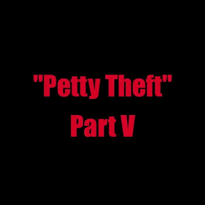 Petty Theft - Chapter 5