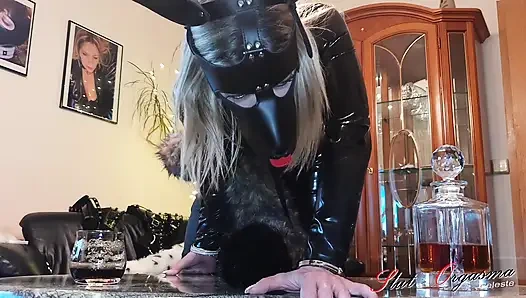 Pelacur-orgasma celeste si pelacur nakal suka banget sama kontol raksasa