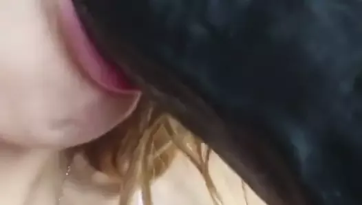 beautiful argentinian girl sucking a dildo blowjob