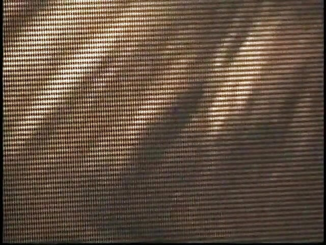 Αδύνατη μαύρη γκόμενα ρουφάει όλα τα χύσια μετά από απαλό σεξ στο μπάνιο