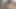Sıska cadaloz durur izleme tv için oynamak kedi solo