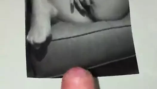 Haraç video
